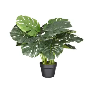 Kunstplant Monstera H60cm - Htt Decorations Kunstplanten