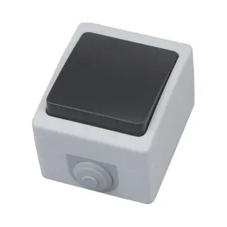 Bes Led Wisselschakelaar - Opbouw - Enkel - Waterdicht IP54