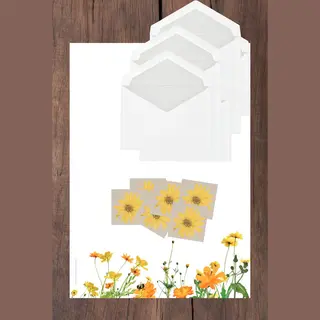 Briefpapier Set - WIldflowers - 12 A4 Vellen - 6 Enveloppen - 6 Sluitstickers - Postpapier - Meer Leuks