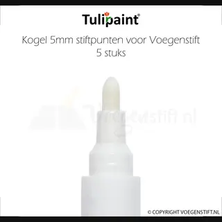 Tulipaint 5mm (Kogel) Reservepunten 5 Stuks Voor Voegenstift