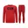 ICON Painted - Rood, Rood
