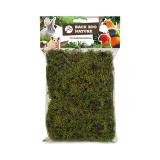 Back Zoo Nature Forest Moss - Natuurlijk Speelgoed - Ca. 70 G