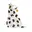 Panter wit, zwart en oker
