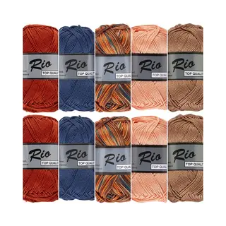 Lammy Yarns Rio Haakkatoen Garen Pakket - Bruin Blauw Multi En Uni Kleuren - 10 Bollen