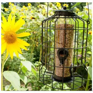 Bird Feeder Bird-Feeder | Zaad Voedersilo Voor Kleine Vogels Met Beschermkooi - 4 Zitstokjes - Groen - Metaal