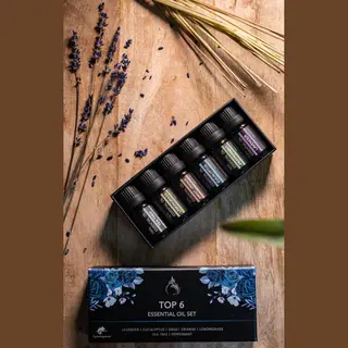 Spieringstore® 6 Essentiële Olie - Aromatherapie - Cadeau Set – Geurolie Voor Aroma Diffuser- Etherische Oliën – Sterkere Concentratiegraad