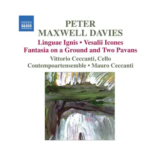 Outhere Vittorio Ceccanti, Contempoartensemble, Mauro Ceccanti - Davies, Linguae Ignis | Vesalii Icones | Fantasia On A Ground And Two Pavans (Cd)