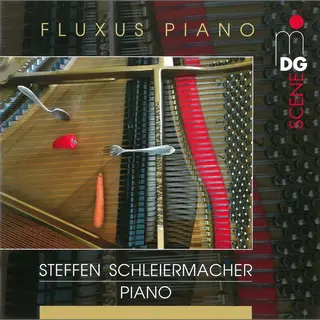 Outhere Steffen Schleiermacher - Fluxus Piano (Cd)