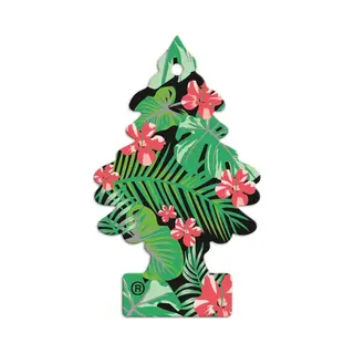 Wunder-Baum 20482 Car Air Freshener