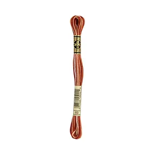 Dmc 6-Strand Embroidery Cotton 8.7yd-Variegated Terra Cotta