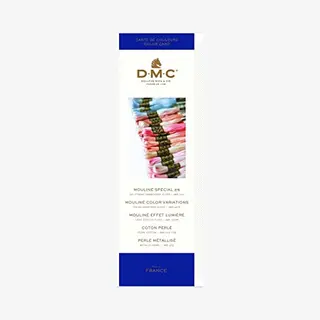 Dmc Kleurenkaart - Borduurgaren Garenstaaltjes - Nieuwste Editie 2020