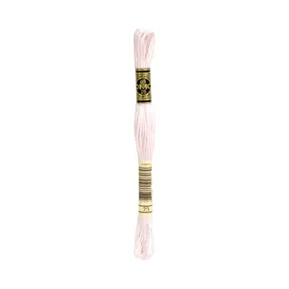 Dmc 6-Strand Embroidery Cotton 8.7Yd-Apple Blossom
