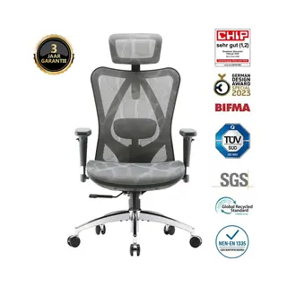 Sihoo M57 Ergonomic Office Chair Mesh Desk Chair With Adjustable Lumbar Support 3D Armrests Breathable High Back Computer Chair (Grey)