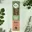 Eucalyptus, Laurier & Ceder