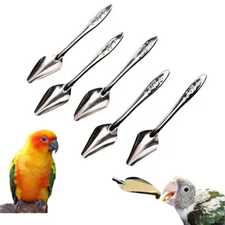 5 Stuks - Voederlepel Voor Vogels - Draagbare Multifunctionele Voedertool - Voederbak Voor Papegaaien - Voederbak Voor Kuikens - Roestvrij Staal -
