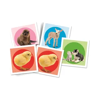 Clementoni 18315 wetenschapsdoos kinder en speelgoed