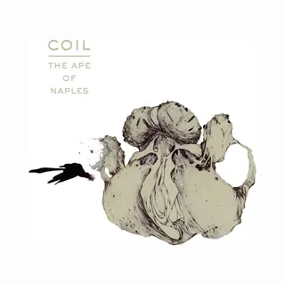 Coast2Coast Coil - The Ape Of Naples (2 Cd) (Vinyl Art)