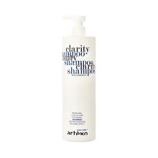 Artego Artègo Clarity Easy Care T Shampoo, 1 Liter
