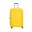 Duck Yellow