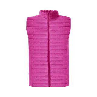 Sleeveless Puffer Jacket Givova Grecia