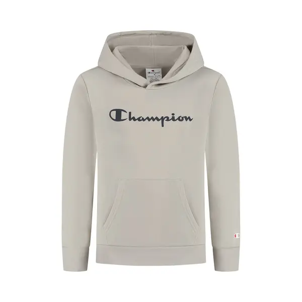 Champion Script Logo Hoodie Junior - Maat Xxl thumbnail
