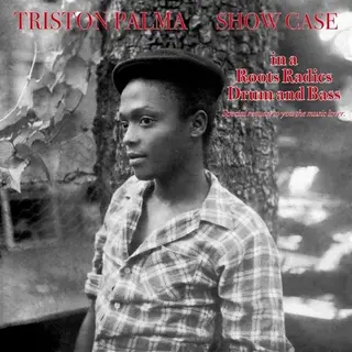 Vinyl Castle Show Case
