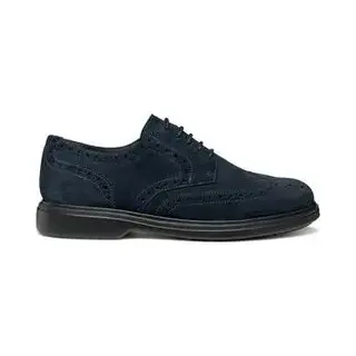 Derbie Geox Ottavio