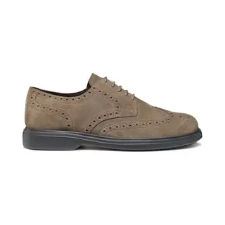 Derbie Geox Ottavio