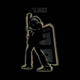 Electric Warrior