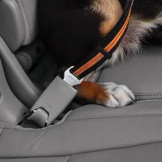 Kurgo Auto-Sicherheitsgurtschlaufe Für Hunde, Einfaches Anbringen Mit Karabiner Aus Stahl, 25, 4 Cm Länge, Grau/Schwarz