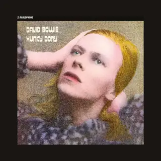 Warner Music Hunky Dory (Remastered 2015) [Vinyl Lp]