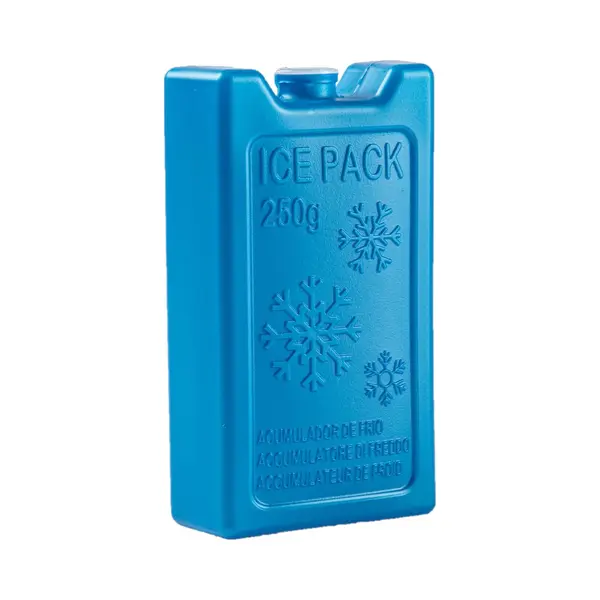 Plasticforte 250 Grams Koelelementen - 13 X 7 X 3 Cm - Blauw - Kunststof - Met Sneeuwvlokken Print - Koeltas - Koelbox thumbnail
