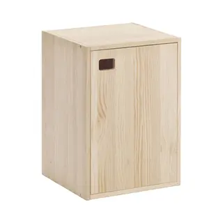 Astigarraga Houten Wandkast Met Deur - Houten Kast Van Pefc Grenen - 53x37cm