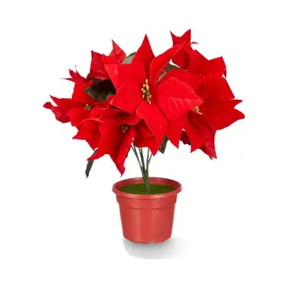 Krist+ Kunstplant Kerstster - Poinsettia - Rood - H30 Cm - Nepplant - Kerstplant - Kamerplant