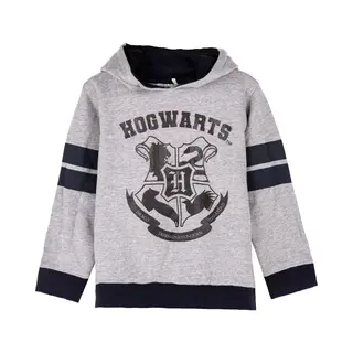 Hoodie Aus Gebürsteter Baumwolle Für Kinder Cerda Harry Potter