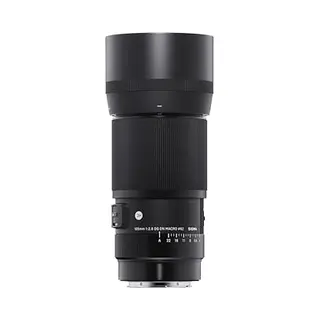 Sigma 105mm f / 2.8 Dg Dn Macro Art Milc/Slr Makroobjektiv Schwarz