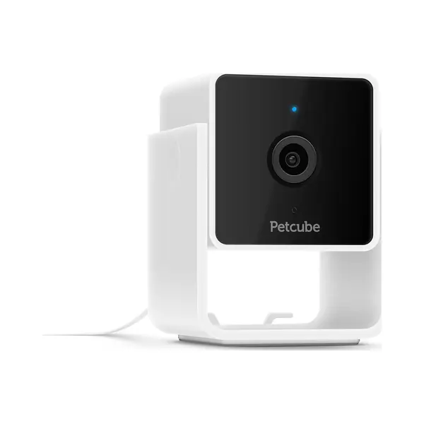 Petcube Pet Cam Camera thumbnail