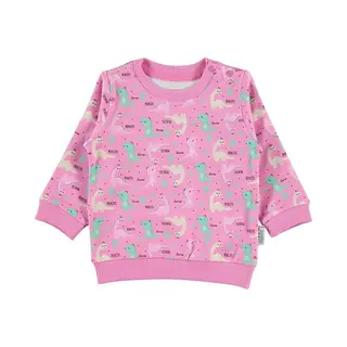 Civil Baby/peuter Sweater Meisjes - Dino Babykleding