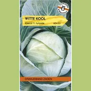 Oranjeband Zaden Oranjebandzaden - Witte Kool Kilazol F1