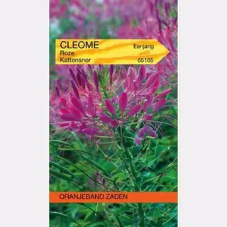 Oranjeband Zaden Cleome, Kattensnor Roze