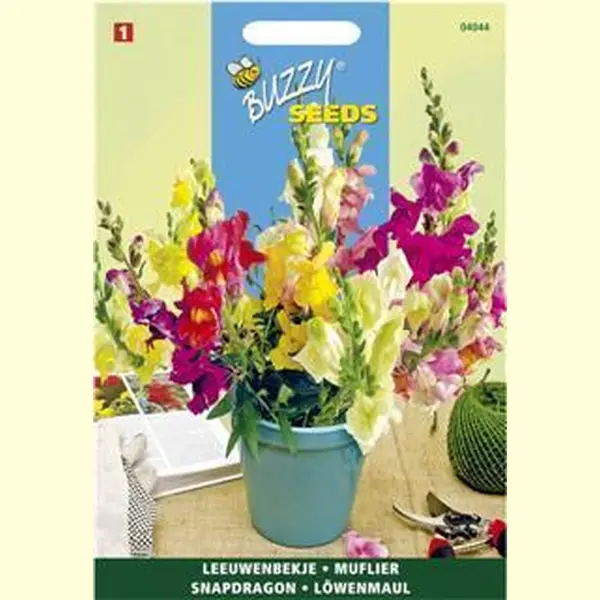 Ta Leeuwenbekje Halfhoog Gemengd - Antirrhinum Majus Nanum thumbnail
