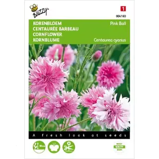 Buzzy Seeds Buzzy® Centaurea Cyanus Pink Ball - Korenbloem