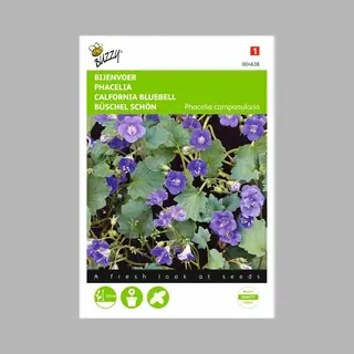 Ta Bijenvoer - Phacelia Campanularia