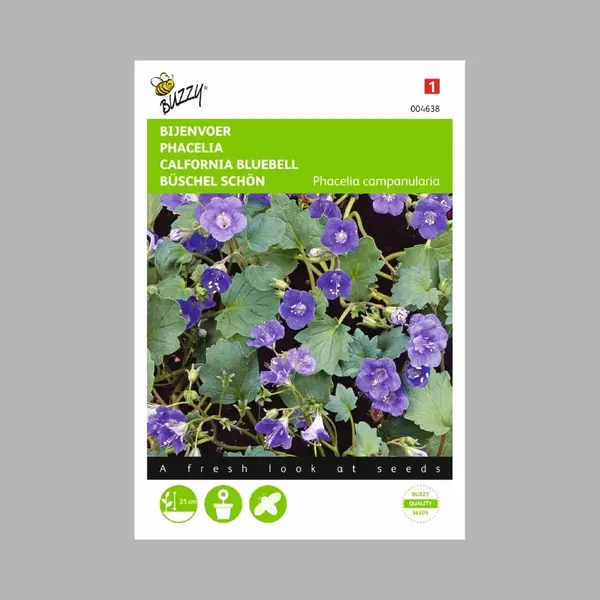 Ta Bijenvoer - Phacelia Campanularia thumbnail