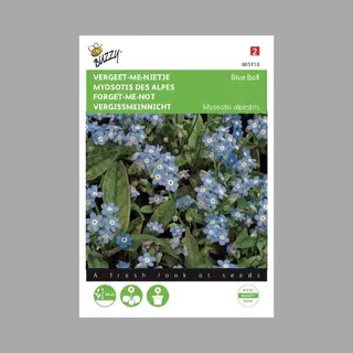 Ta Vergeet-me-nietje Blauw - Myosotis Alpestris
