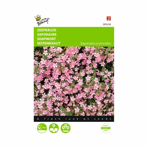 Ta Saponaria Ocymoides (zeepkruid) thumbnail