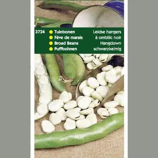 Hortitops Zaden - Tuinbonen Leidse Hangers 250 Gr