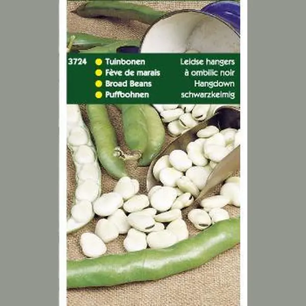 Hortitops Zaden - Tuinbonen Leidse Hangers 250 Gr thumbnail