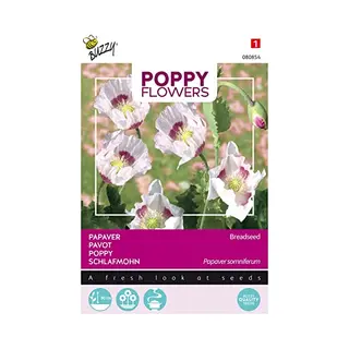 Buzzy Seeds Buzzy® Poppies Of The World - Papaver Blauwmaanzaad