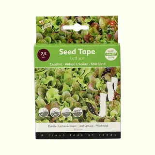 Buzzy Seeds Fun Zaadband Plukfris Gemengd